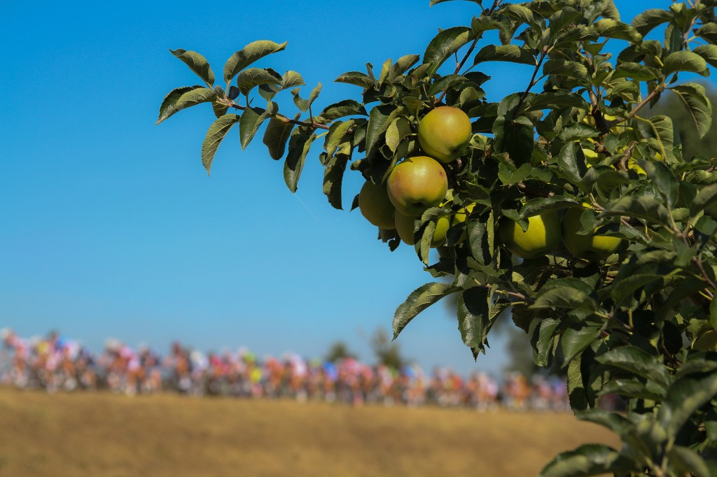 Tiel hoopt op start Boels Rental Ladies Tour