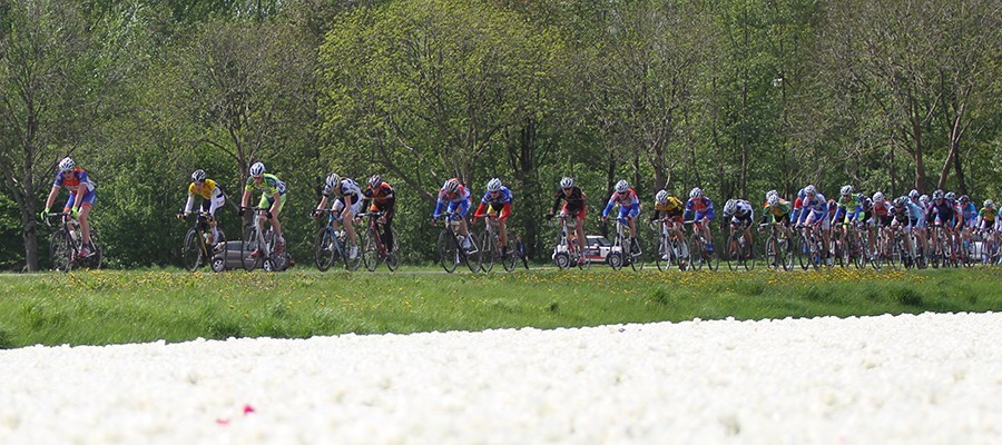 Retro: Flevotour 1998: Windstil in de polder